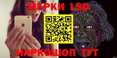 амф Новозыбков
