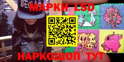 mdpv Новодвинск