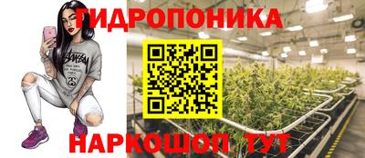 mdpv Новодвинск