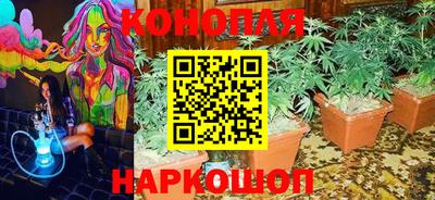 mdpv Новодвинск