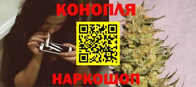 амф Новозыбков