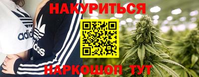 амф Новозыбков