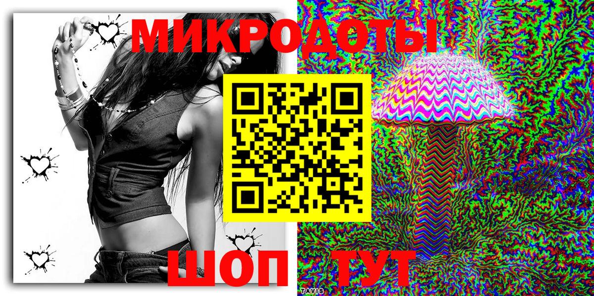 Псилоцибиновые грибы Psilocybe Тавда